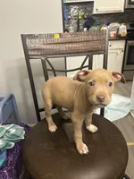 processed/09e5b8f2-bf33-416e-ac74-9d5aff06daac/listing/fb81da5e-9f23-4cac-a18c-a87d639d1fbd/52191ac9-532c-408b-aaf2-55fc9fe8ebf3