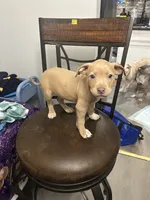 processed/09e5b8f2-bf33-416e-ac74-9d5aff06daac/listing/fb81da5e-9f23-4cac-a18c-a87d639d1fbd/e4326ed0-ad70-43f8-a119-b40f444c3573