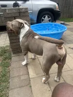 processed/09e5b8f2-bf33-416e-ac74-9d5aff06daac/listing/fb81da5e-9f23-4cac-a18c-a87d639d1fbd/edd02309-934b-4d99-8fa1-393822890de3