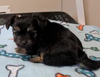 processed/09e60556-95a8-4af2-95ef-43a05c733f62/listing/843a7293-8c87-4c36-b7b0-bb54648671c4/810bf73a-4743-4585-b9a8-1a3ec21c6abd