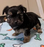 processed/09e60556-95a8-4af2-95ef-43a05c733f62/listing/843a7293-8c87-4c36-b7b0-bb54648671c4/c1151278-9a73-41b8-9566-be28d193a635