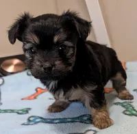 processed/09e60556-95a8-4af2-95ef-43a05c733f62/listing/843a7293-8c87-4c36-b7b0-bb54648671c4/c1e2f383-65a6-44f1-8442-064a0c098ee0