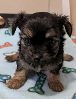 processed/09e60556-95a8-4af2-95ef-43a05c733f62/listing/843a7293-8c87-4c36-b7b0-bb54648671c4/c1f1557a-e1e2-46b9-80c6-5035ad7f7714