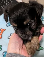 processed/09e60556-95a8-4af2-95ef-43a05c733f62/listing/843a7293-8c87-4c36-b7b0-bb54648671c4/e632a613-ee28-4d5d-aab2-21eb21a980c3