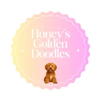 Purple, a female Miniature Goldendoodle for sale in Jesup, GA – Photo 1 of 8