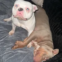 processed/09ebc682-4a61-47cd-936a-f3295f712958/facility/89ee2b48-f62b-4324-8d64-301f6c84b299