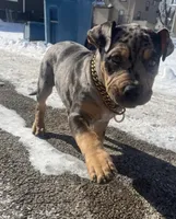 processed/09ebc682-4a61-47cd-936a-f3295f712958/listing/c3a6977d-12f9-4004-9284-4ab787a55692/09970177-48f3-4a7e-b177-b843b23f725d