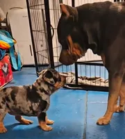 processed/09ebc682-4a61-47cd-936a-f3295f712958/listing/c3a6977d-12f9-4004-9284-4ab787a55692/5e3b068f-8554-4a80-b8cd-72ab2ebf4e4b