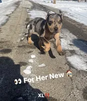 processed/09ebc682-4a61-47cd-936a-f3295f712958/listing/c3a6977d-12f9-4004-9284-4ab787a55692/e83f23b9-5d6f-4cb5-903a-f470af0ad9fe