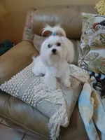 processed/09ec8fa3-bd89-4f5c-9ad1-f91725c5c337/listing/f2311bc2-9b9a-4c8d-98b8-12847b162b37/9bd0df68-f3e6-4945-b6f6-743861f6dc4c