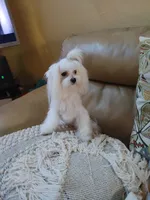 processed/09ec8fa3-bd89-4f5c-9ad1-f91725c5c337/listing/f2311bc2-9b9a-4c8d-98b8-12847b162b37/ea988138-b2f8-41b9-8bd1-9731d1b0759c