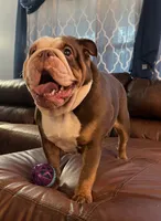 processed/09eecd0f-1ef7-4212-b3f4-2faadfd6dcfc/facility/3bef9403-d4d3-4f22-afdf-f29a4ed907c4