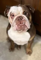 processed/09eecd0f-1ef7-4212-b3f4-2faadfd6dcfc/facility/70737311-a7e1-4752-ba19-f4c8492634fe