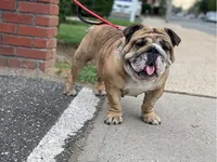 processed/09eecd0f-1ef7-4212-b3f4-2faadfd6dcfc/facility/85b52b5e-c1b8-419f-ac5c-65b3c91c84f1