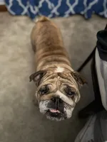 processed/09eecd0f-1ef7-4212-b3f4-2faadfd6dcfc/facility/891e0300-2af1-40f7-8bb9-60d6b2edb667