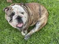 processed/09eecd0f-1ef7-4212-b3f4-2faadfd6dcfc/facility/89fb3f9d-3d78-4187-a710-0e35eb23c384