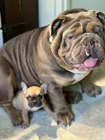 processed/09eecd0f-1ef7-4212-b3f4-2faadfd6dcfc/facility/a102a9ff-1237-40b3-9e30-e87158c28230