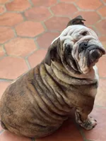 processed/09eecd0f-1ef7-4212-b3f4-2faadfd6dcfc/facility/bf0e1505-2aa0-44f3-aabc-2892530d8a55