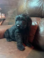 processed/09f16767-4800-4a72-a090-e7222e4726f3/listing/8f63c337-1616-4a60-b7a5-c92240c0eed4/33faac79-3d75-4401-8077-a88f143cb7a8