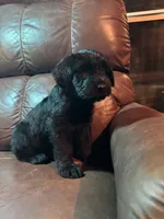 processed/09f16767-4800-4a72-a090-e7222e4726f3/listing/8f63c337-1616-4a60-b7a5-c92240c0eed4/752f46d9-fd33-4abc-a89f-5e662f1ae7f5