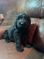 processed/09f16767-4800-4a72-a090-e7222e4726f3/listing/8f63c337-1616-4a60-b7a5-c92240c0eed4/9407e3b1-83da-468d-86ed-6a7ed8767f99