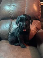 processed/09f16767-4800-4a72-a090-e7222e4726f3/listing/8f63c337-1616-4a60-b7a5-c92240c0eed4/a0974221-1ec3-4f5f-bffe-4142ba11e39b