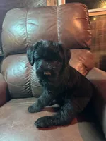 processed/09f16767-4800-4a72-a090-e7222e4726f3/listing/8f63c337-1616-4a60-b7a5-c92240c0eed4/b0aa2700-ad9d-4469-a86e-345b6c896b0a