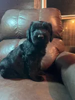 processed/09f16767-4800-4a72-a090-e7222e4726f3/listing/8f63c337-1616-4a60-b7a5-c92240c0eed4/eb22630a-a3f4-427c-b8fc-3d5db385aaf8