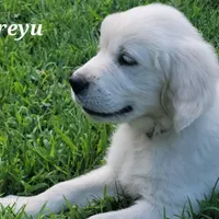 processed/09f2c338-7413-4a2a-9f12-f17b03564d66/facility/2977fe0d-b058-4f7c-8c14-fefa4a5ed467