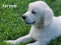 processed/09f2c338-7413-4a2a-9f12-f17b03564d66/facility/2977fe0d-b058-4f7c-8c14-fefa4a5ed467