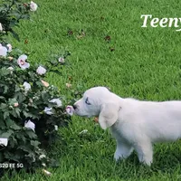 processed/09f2c338-7413-4a2a-9f12-f17b03564d66/facility/2995db0b-ca55-44a1-91c2-95067aaa9742