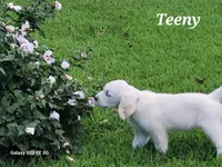 processed/09f2c338-7413-4a2a-9f12-f17b03564d66/facility/2995db0b-ca55-44a1-91c2-95067aaa9742