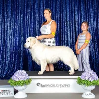 processed/09f2c338-7413-4a2a-9f12-f17b03564d66/facility/46378e71-adb9-41d0-b260-5aba15fef00b