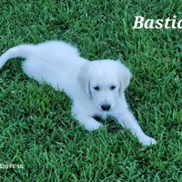 processed/09f2c338-7413-4a2a-9f12-f17b03564d66/facility/5a8a7a3c-902f-4eb4-9dda-744f60f74ab9