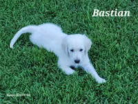 processed/09f2c338-7413-4a2a-9f12-f17b03564d66/facility/5a8a7a3c-902f-4eb4-9dda-744f60f74ab9