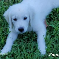 processed/09f2c338-7413-4a2a-9f12-f17b03564d66/facility/89b115ae-404b-41b3-860c-b839c41aeeea