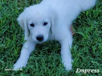 processed/09f2c338-7413-4a2a-9f12-f17b03564d66/facility/89b115ae-404b-41b3-860c-b839c41aeeea