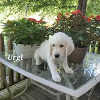 processed/09f2c338-7413-4a2a-9f12-f17b03564d66/facility/9c8f8034-167e-4b13-a2b1-c40afd568341