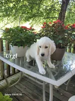 processed/09f2c338-7413-4a2a-9f12-f17b03564d66/facility/9c8f8034-167e-4b13-a2b1-c40afd568341