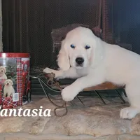 processed/09f2c338-7413-4a2a-9f12-f17b03564d66/facility/ad476ed3-ec44-420a-b07b-942279c8358a