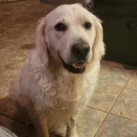 processed/09f2c338-7413-4a2a-9f12-f17b03564d66/facility/c202580b-c60f-4835-8dde-e5b8a4b8b469