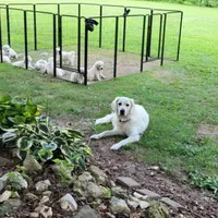 processed/09f2c338-7413-4a2a-9f12-f17b03564d66/facility/d6ec0c82-c14e-4692-b7b9-271057c0a826