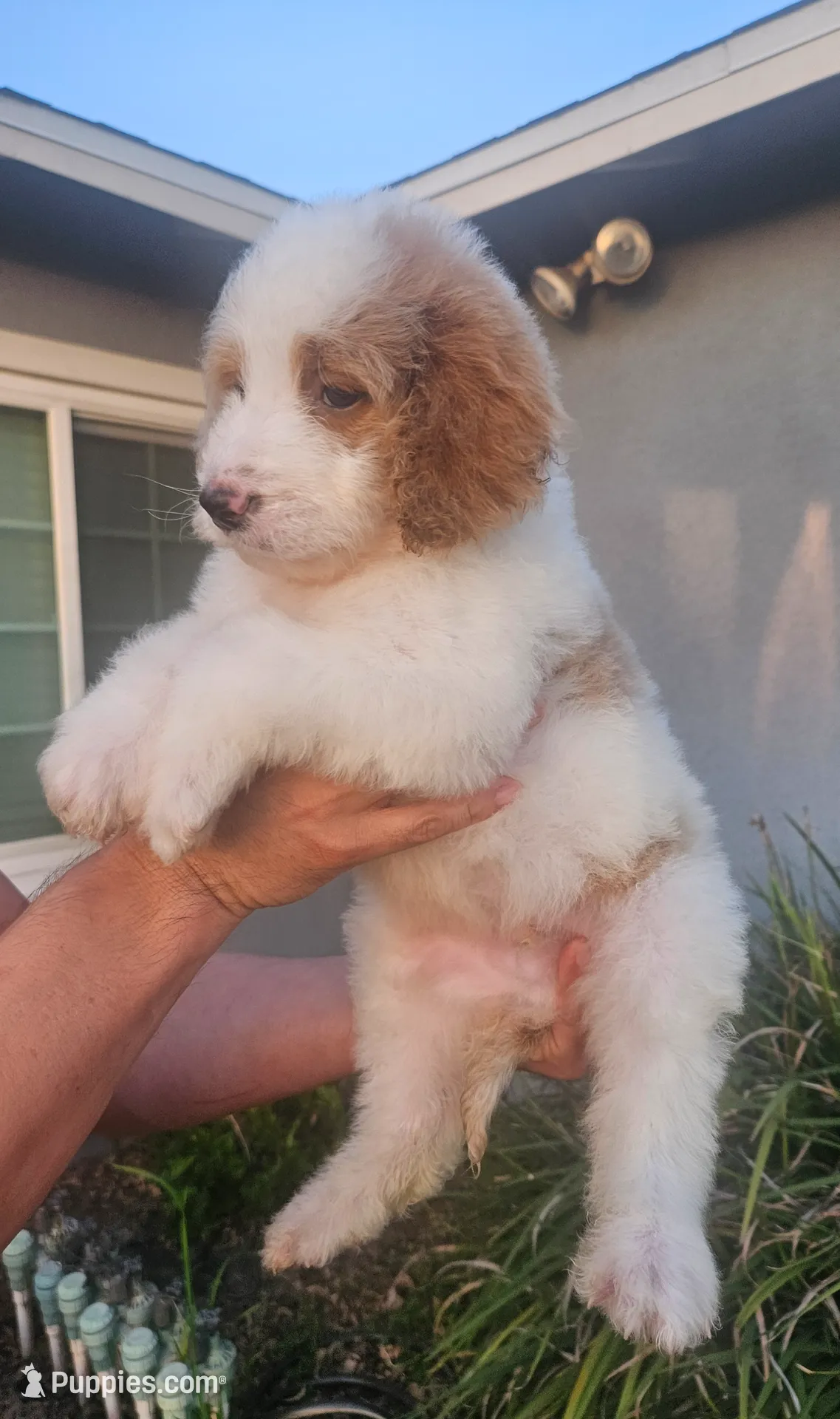 processed/0a199419-f24a-4095-a6b9-7b2ffc6560a3/listing/075a8e15-aa69-44f1-9337-3b80669fd10a/0d2ed087-f4f7-451d-bb78-7ad15bef48e1