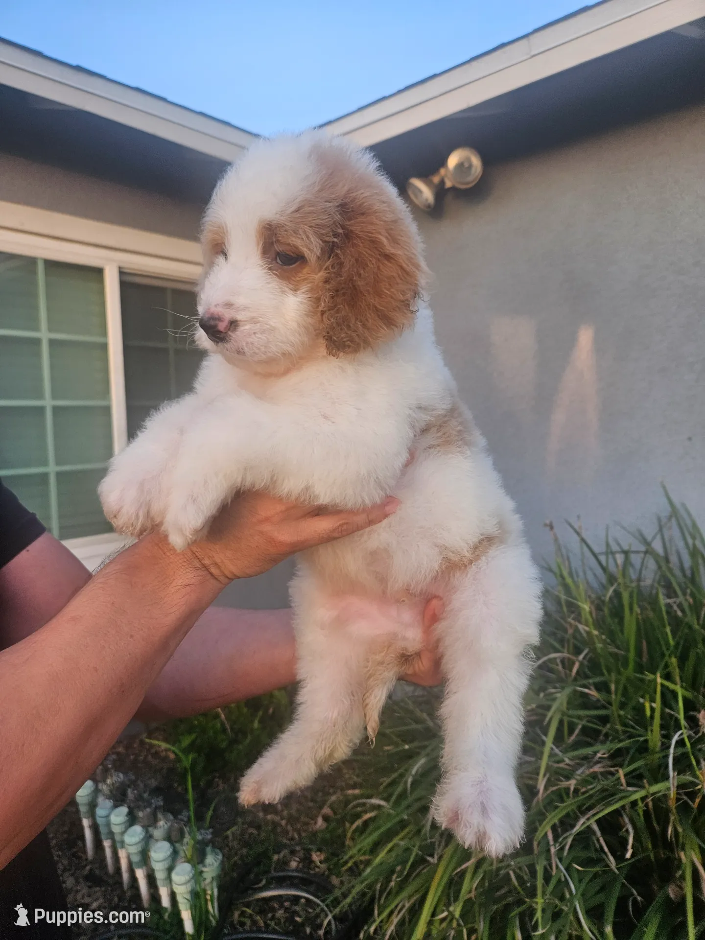 processed/0a199419-f24a-4095-a6b9-7b2ffc6560a3/listing/075a8e15-aa69-44f1-9337-3b80669fd10a/14694a43-2734-4b2a-9182-bd16b453e562