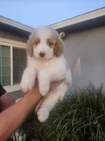 processed/0a199419-f24a-4095-a6b9-7b2ffc6560a3/listing/075a8e15-aa69-44f1-9337-3b80669fd10a/eb1ebd97-ccf1-4156-af69-d9dcc457785d