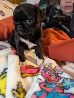 processed/0a19bf68-61df-448a-83d1-4e7d490a8c17/listing/1e1a2108-18c5-4035-b654-1b23eb64c9e8/5da1d72b-c176-42f8-b7af-c81698f6ff7a