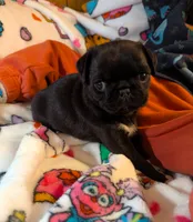 processed/0a19bf68-61df-448a-83d1-4e7d490a8c17/listing/1e1a2108-18c5-4035-b654-1b23eb64c9e8/63b394a5-e158-4c98-b5a0-efce32a25092