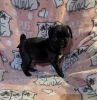 processed/0a19bf68-61df-448a-83d1-4e7d490a8c17/listing/1e1a2108-18c5-4035-b654-1b23eb64c9e8/bab89ffe-f55b-4630-8d96-43e0a27aa713