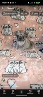 Fergus, a male Pug for sale in Vermilion, OH – 3 of 3