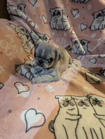 processed/0a19bf68-61df-448a-83d1-4e7d490a8c17/listing/98ff607c-34ee-4141-a26d-d97c45dd604b/4a8d84d3-c6a7-411d-8fa2-1872f1c687d1